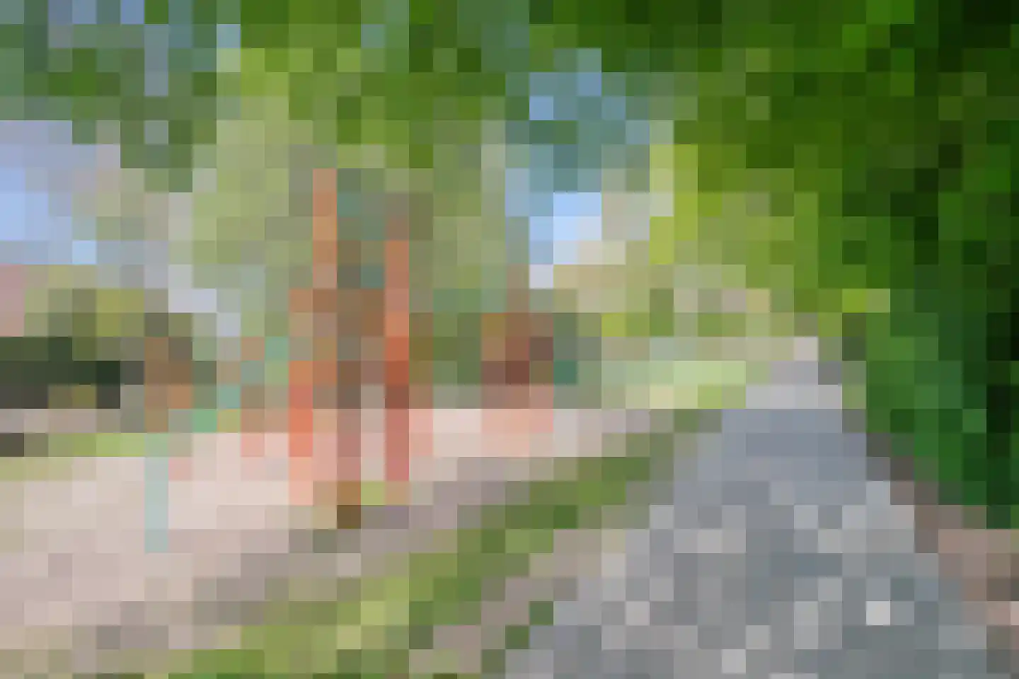 Noorddammerweg 2 Amstelveen thumbnail 43