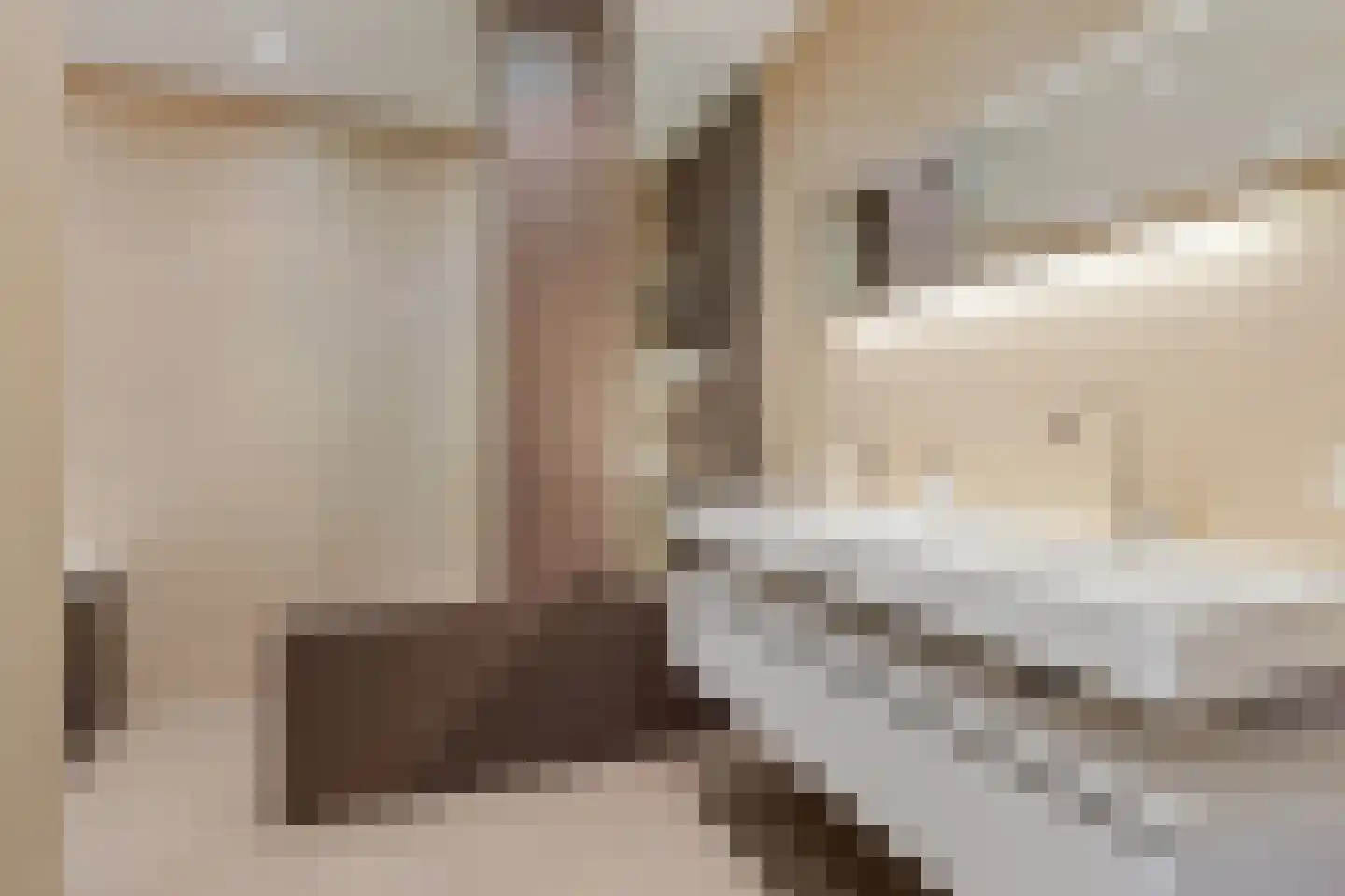 Noorddammerweg 46 C Amstelveen thumbnail 32