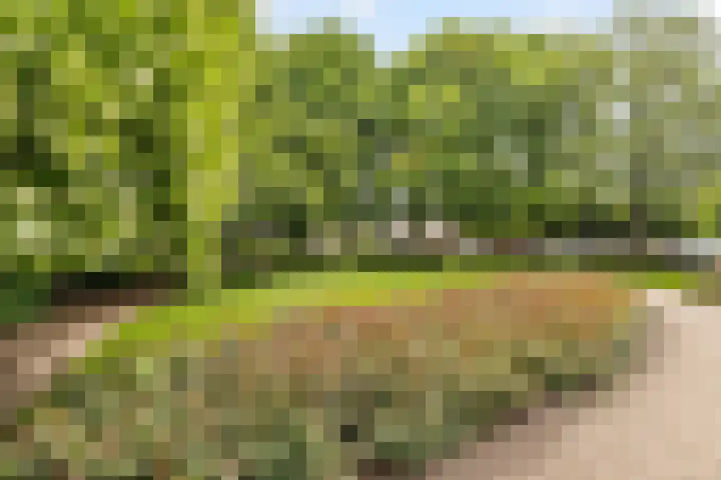 Noorddammerweg 46 C Amstelveen thumbnail 49