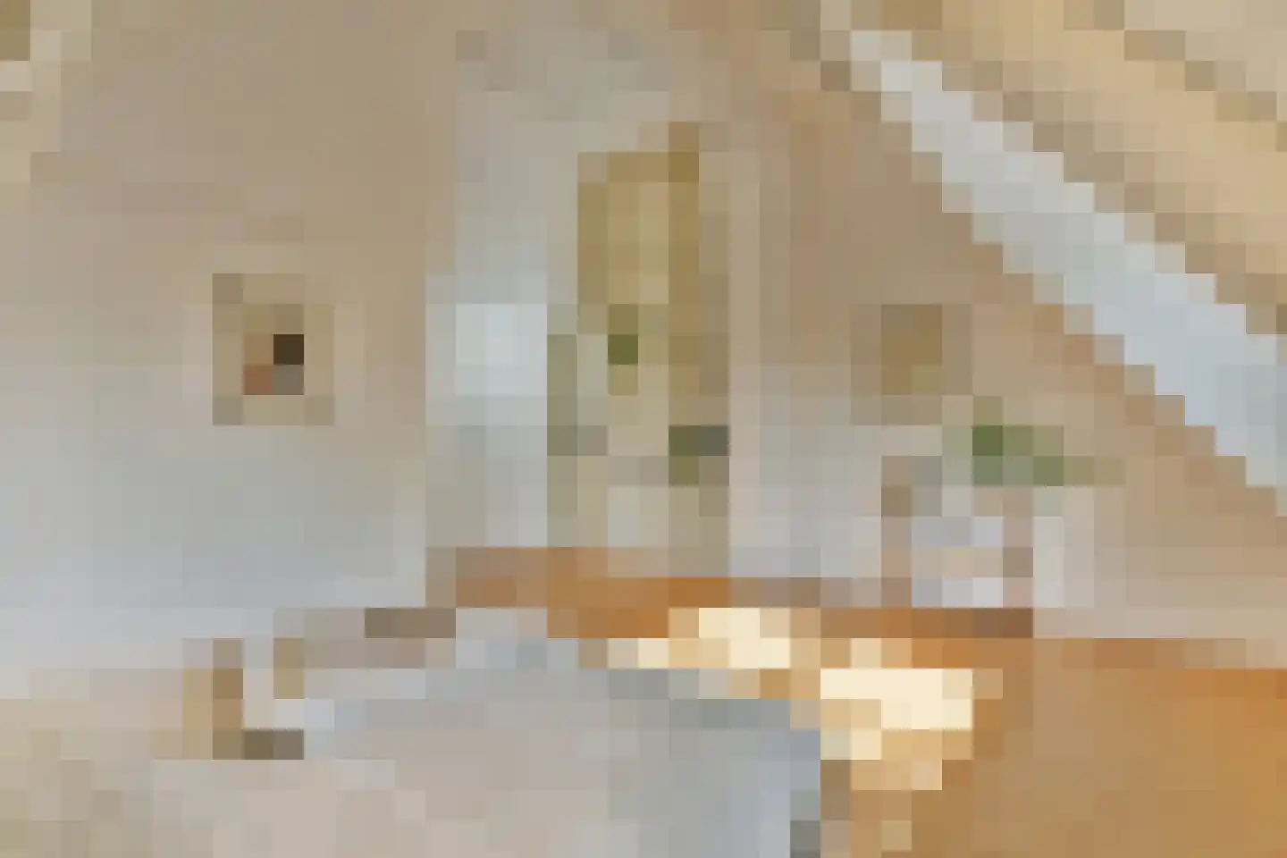 Noorddammerweg 64 BIS Amstelveen thumbnail 35