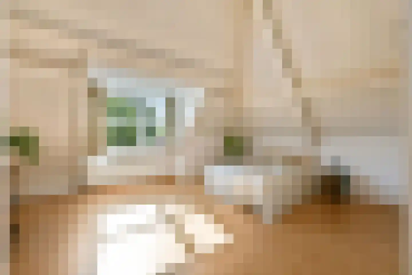 Noorddammerweg 64 BIS Amstelveen thumbnail 4