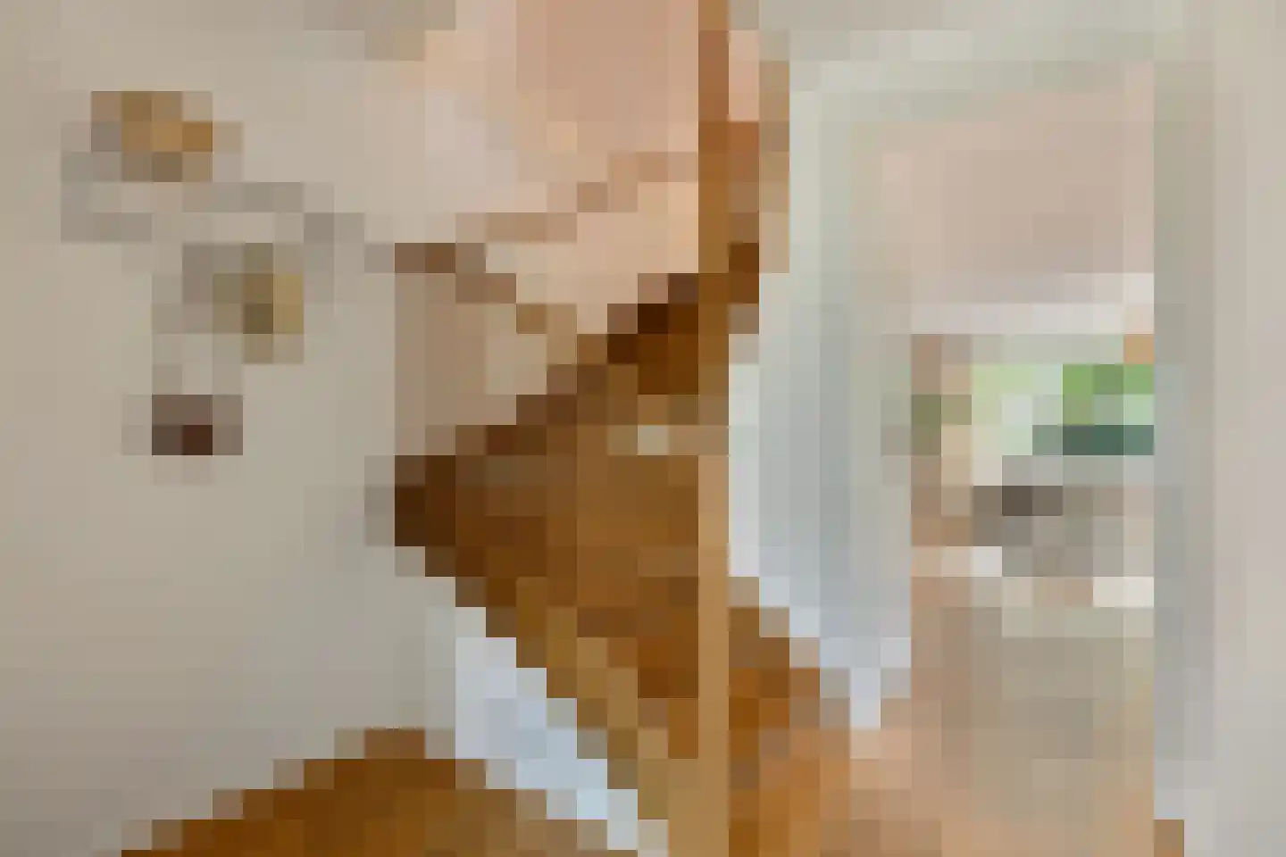 Noorddammerweg 64 BIS Amstelveen thumbnail 6