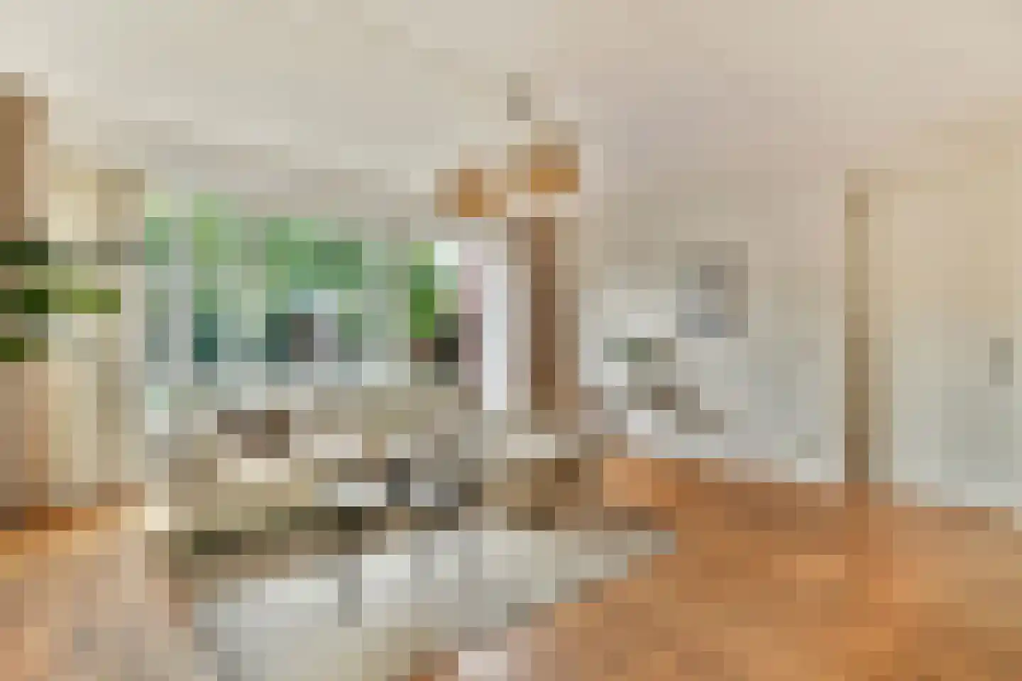 Noorddammerweg 64 BIS Amstelveen thumbnail 7