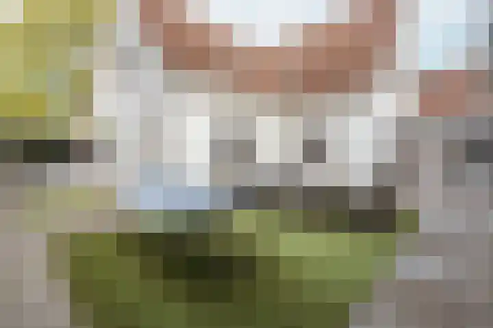Noorddammerweg 68 B Amstelveen thumbnail 22