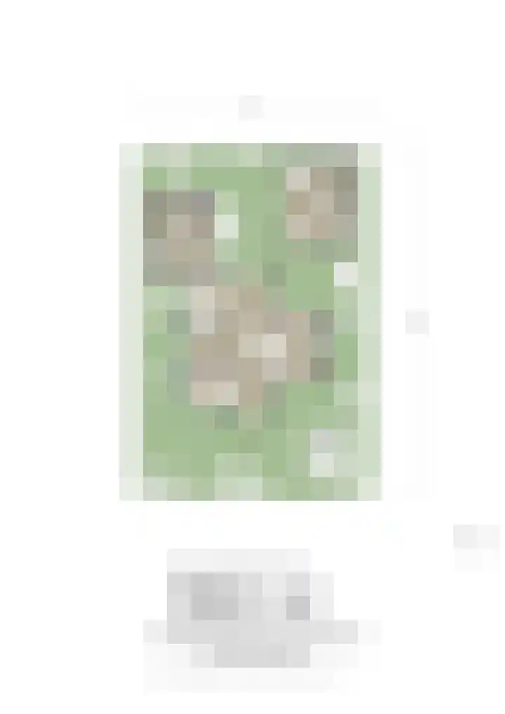 Noorddammerweg 68 B Amstelveen thumbnail 59