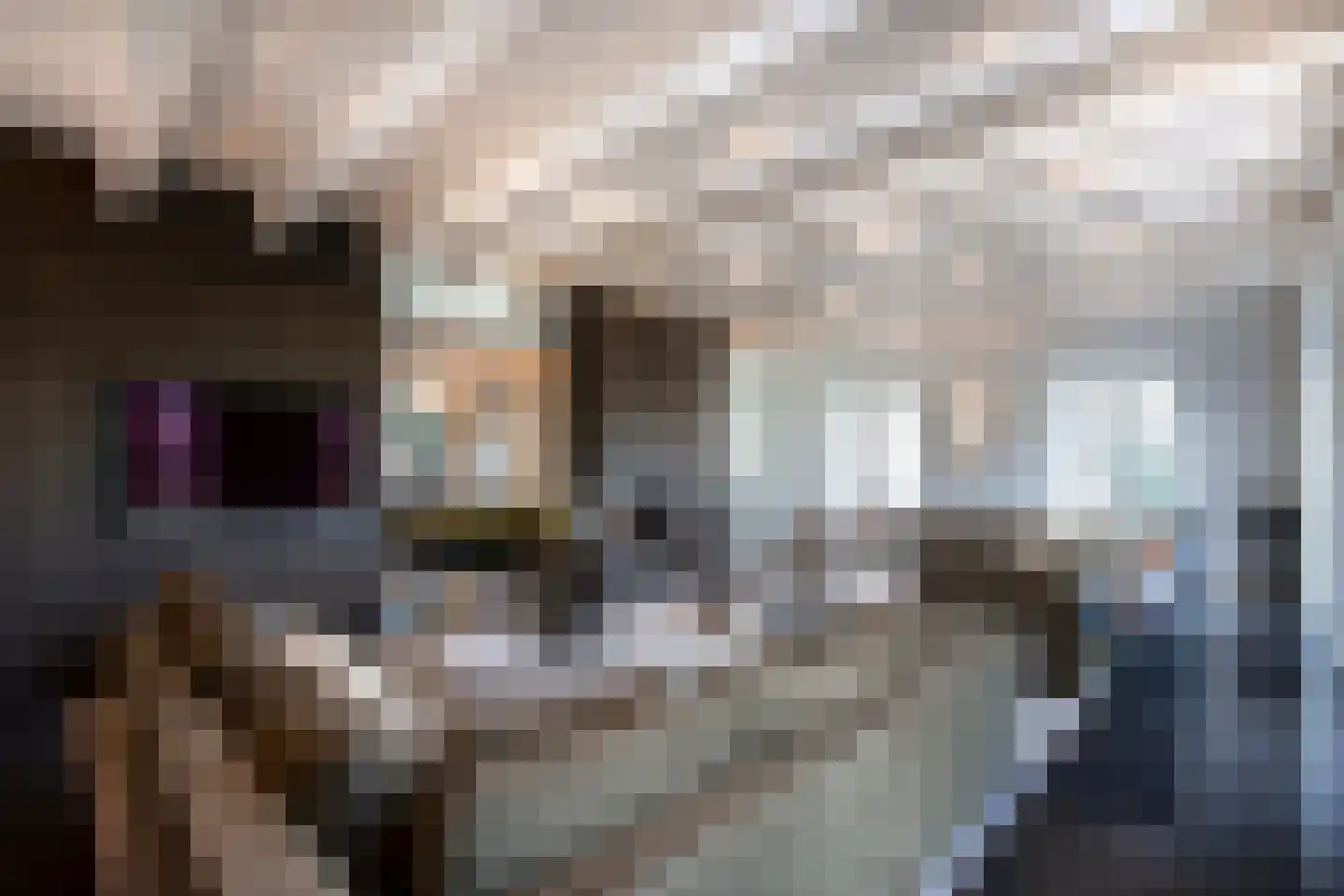 Noorddammerweg 77 Amstelveen thumbnail 10
