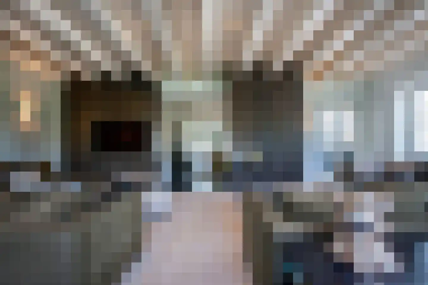 Noorddammerweg 77 Amstelveen thumbnail 11