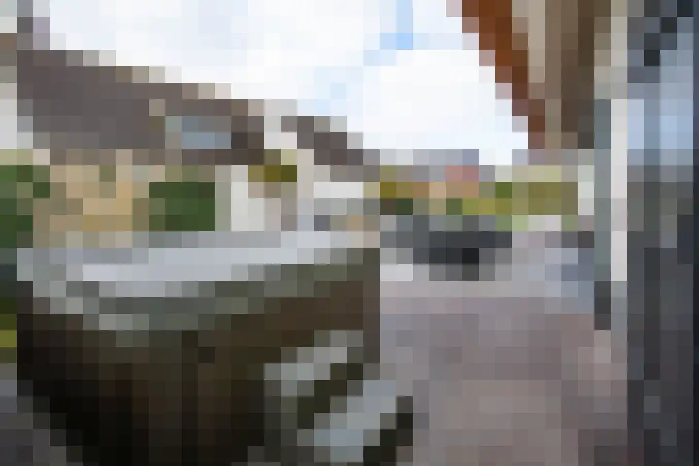 Noorddammerweg 77 Amstelveen thumbnail 28