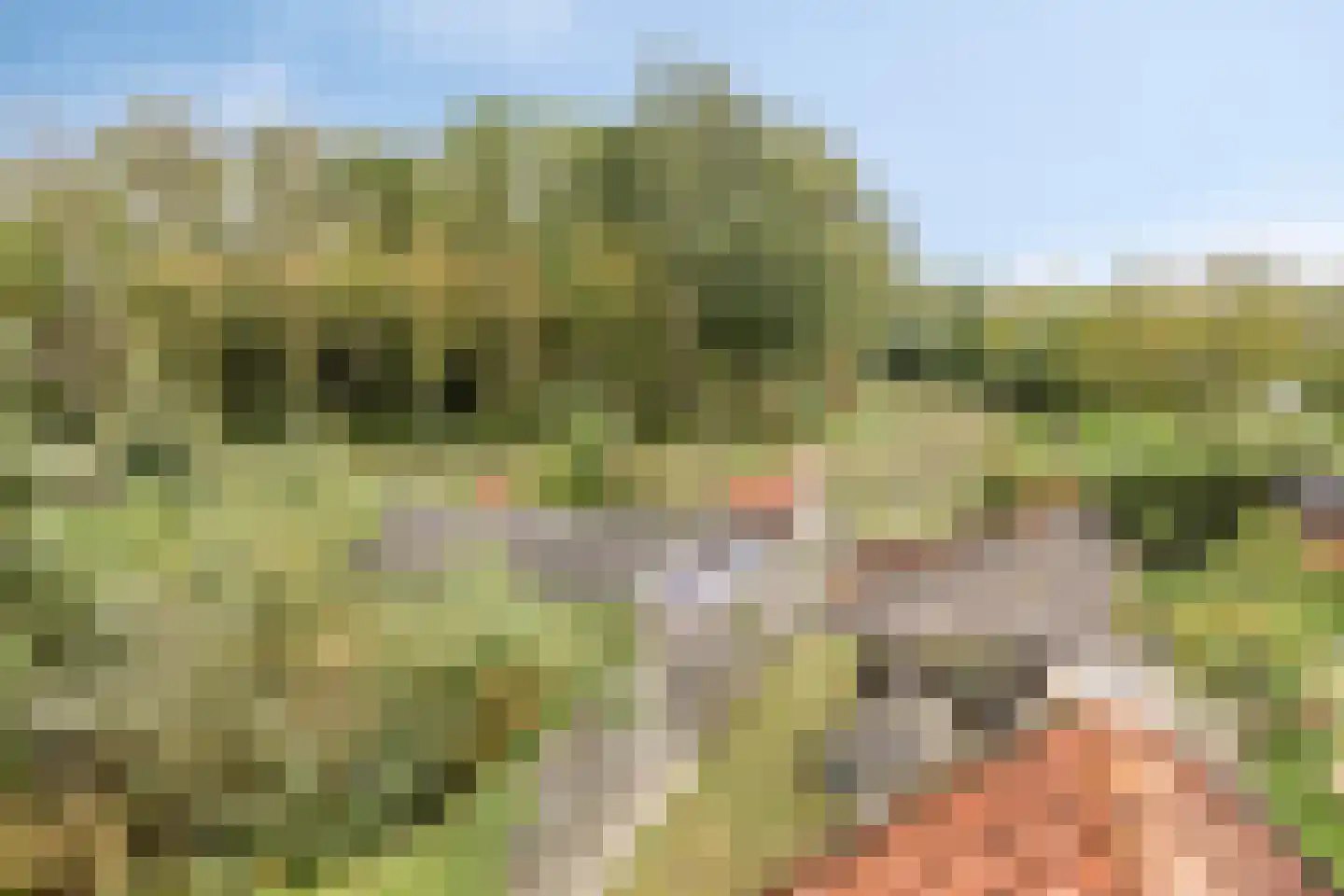 Noorddijk 16 Wolphaartsdijk thumbnail 37