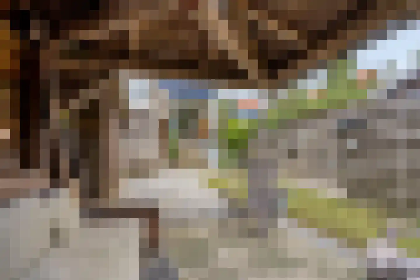 Noorddijk 16 Wolphaartsdijk thumbnail 42