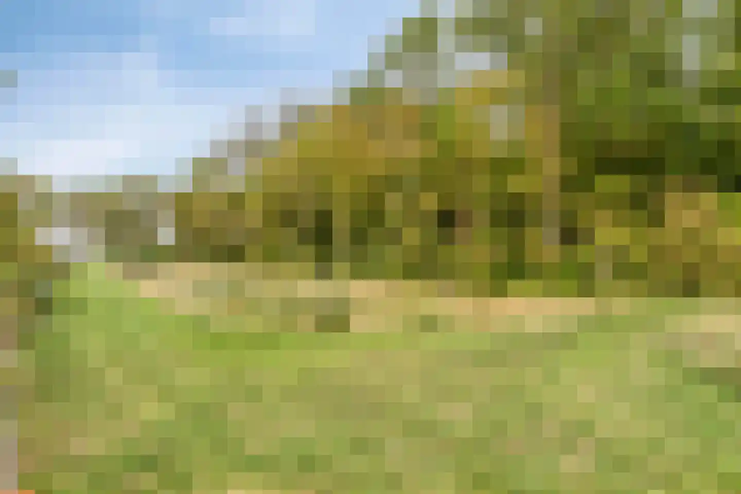 Noorddijk 16 Wolphaartsdijk thumbnail 47