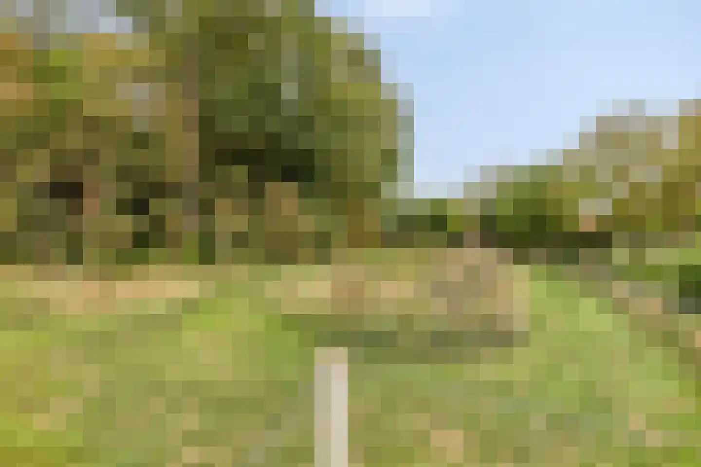 Noorddijk 16 Wolphaartsdijk thumbnail 48