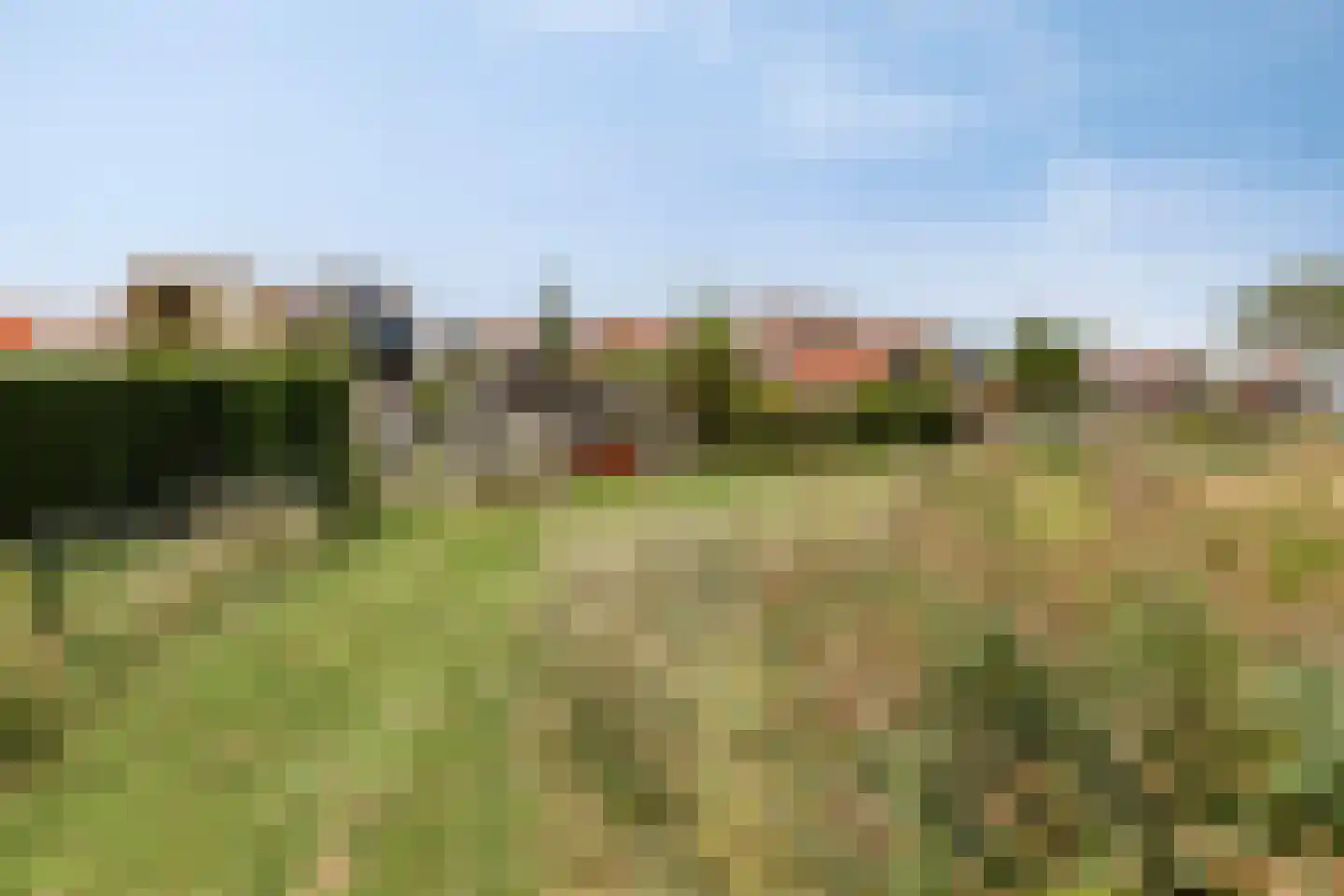 Noorddijk 16 Wolphaartsdijk thumbnail 49