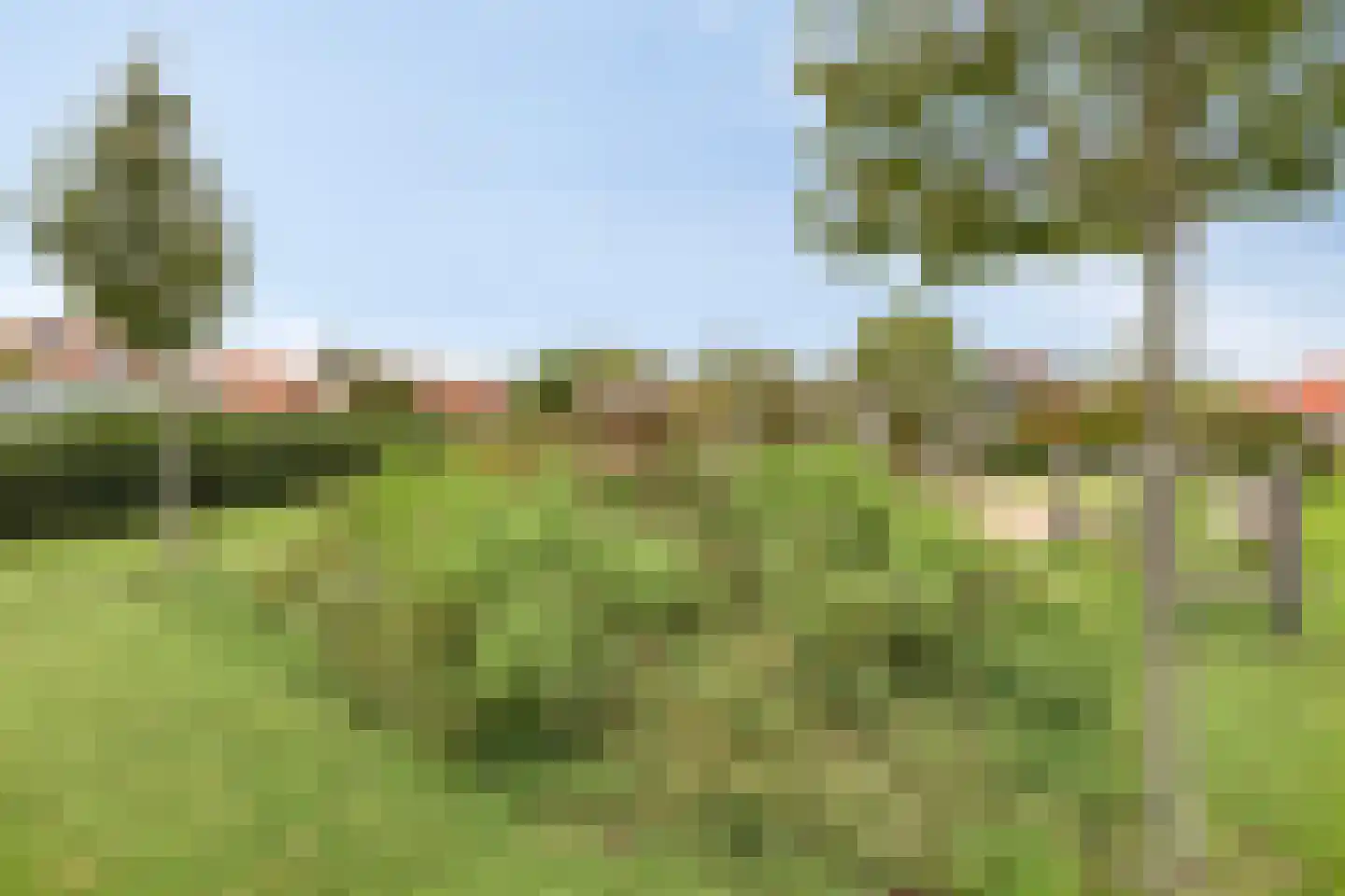 Noorddijk 16 Wolphaartsdijk thumbnail 53