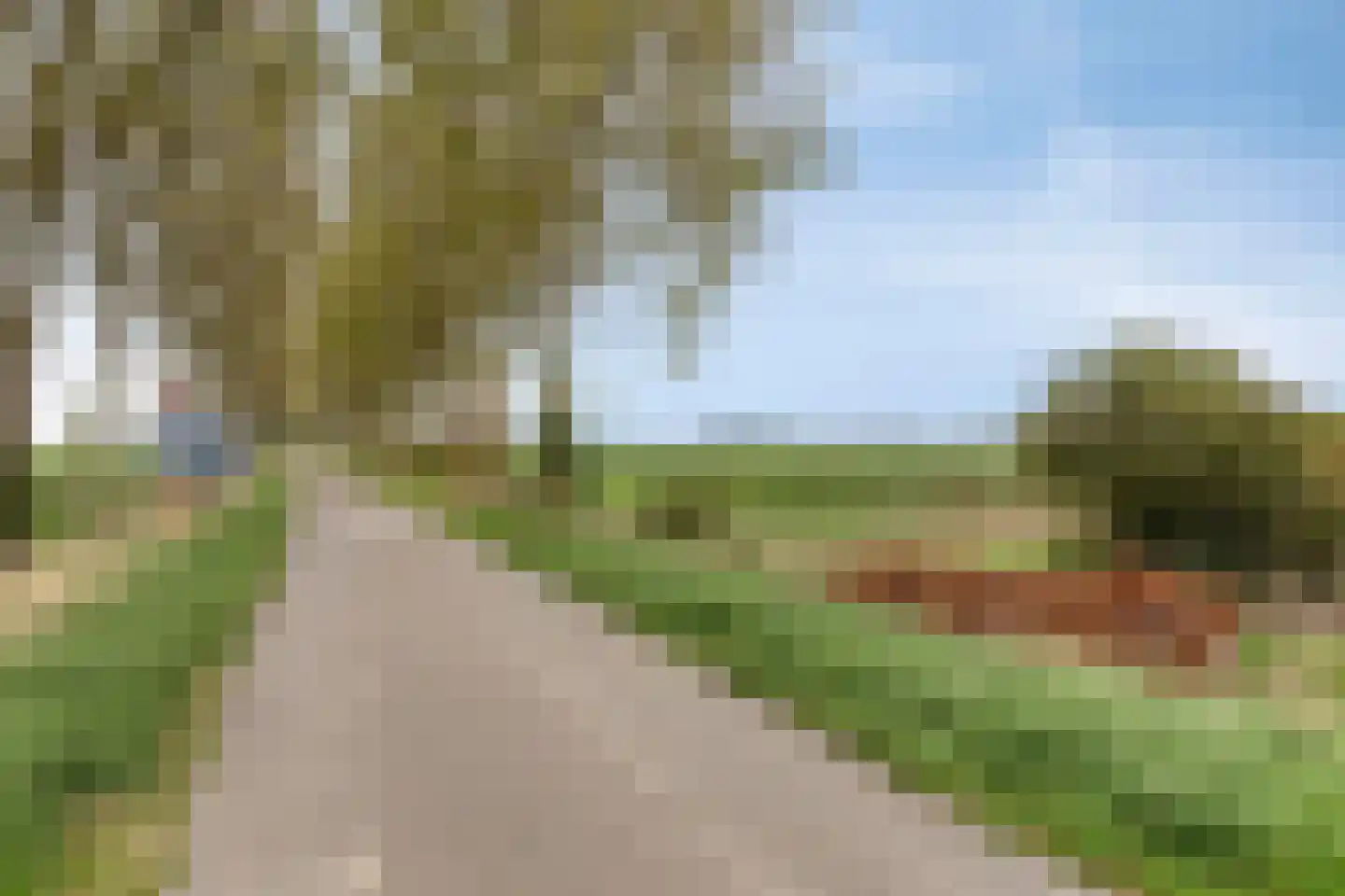 Noorddijk 16 Wolphaartsdijk thumbnail 55