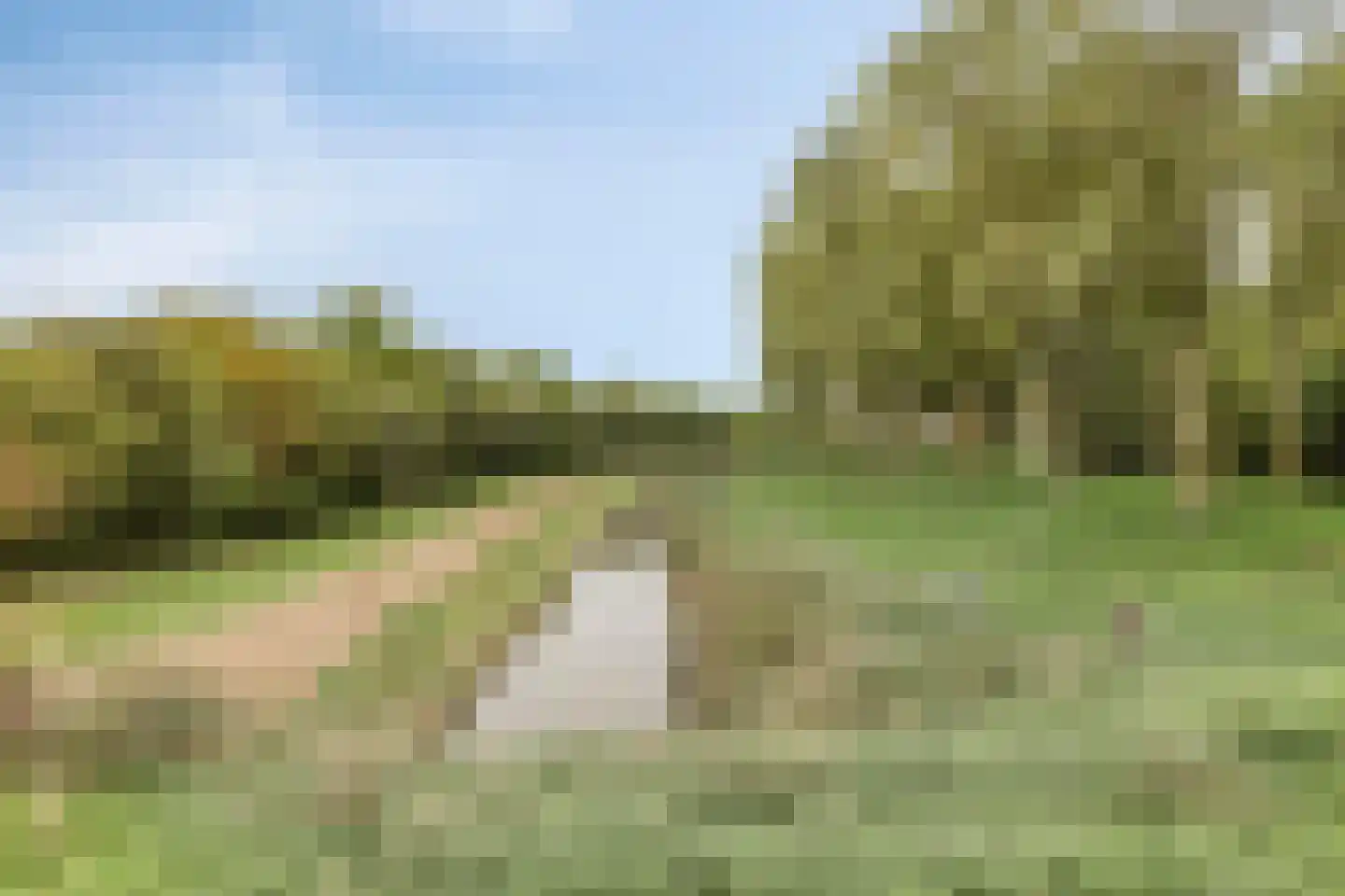 Noorddijk 16 Wolphaartsdijk thumbnail 56