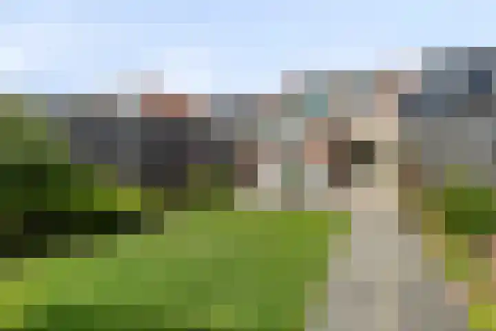 Noorddijk 27 Bruinisse thumbnail 24