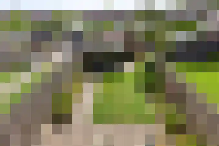 Noorddijk 27 Bruinisse thumbnail 25