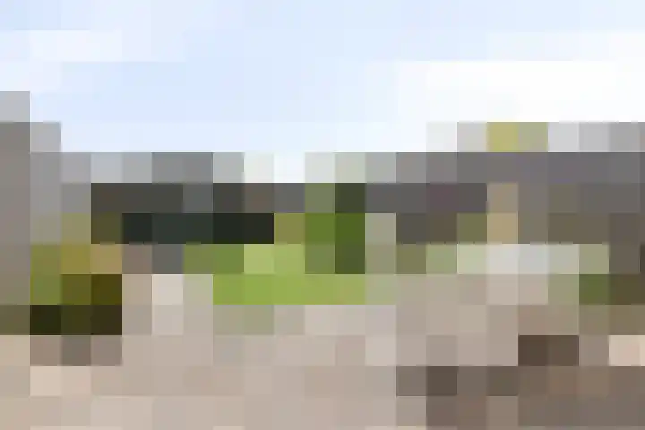 Noorddijk 27 Bruinisse thumbnail 26