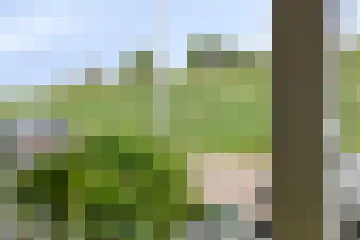 Noorddijk 27 Bruinisse thumbnail 7