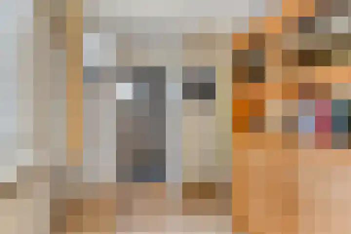 Noorddijk 27 Bruinisse thumbnail 9