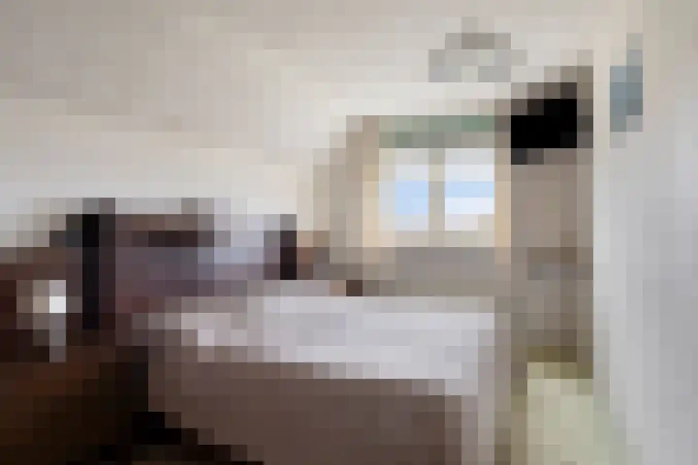 Noorddijk 29 Bruinisse thumbnail 21