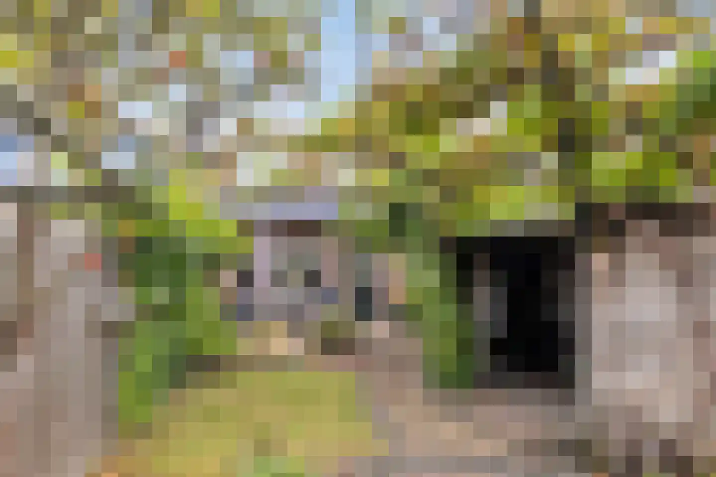Noorddijk 29 Bruinisse thumbnail 30