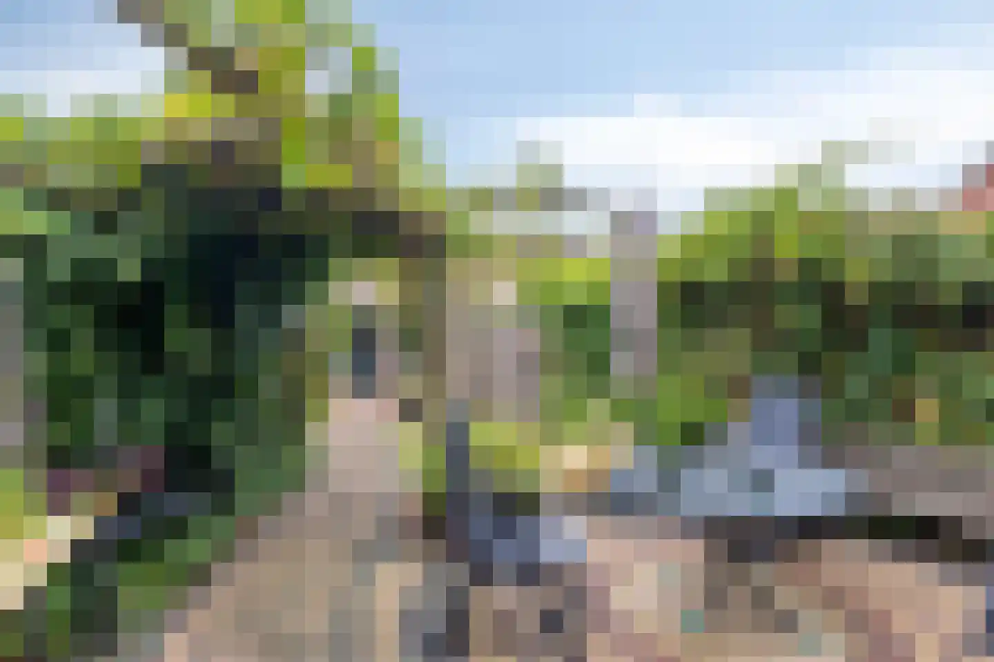 Noorddijk 29 Bruinisse thumbnail 31