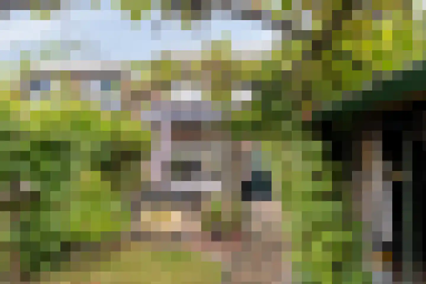 Noorddijk 29 Bruinisse thumbnail 32