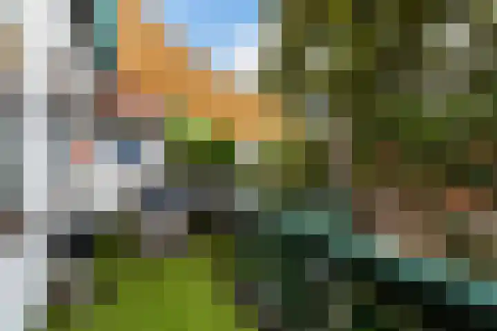 Noorddijk 32 Maassluis thumbnail 25