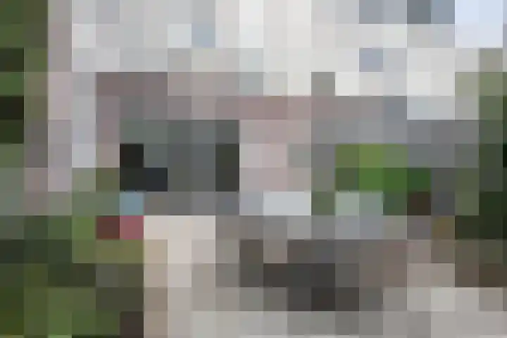 Noorddijk 35 Hoofddorp thumbnail 12