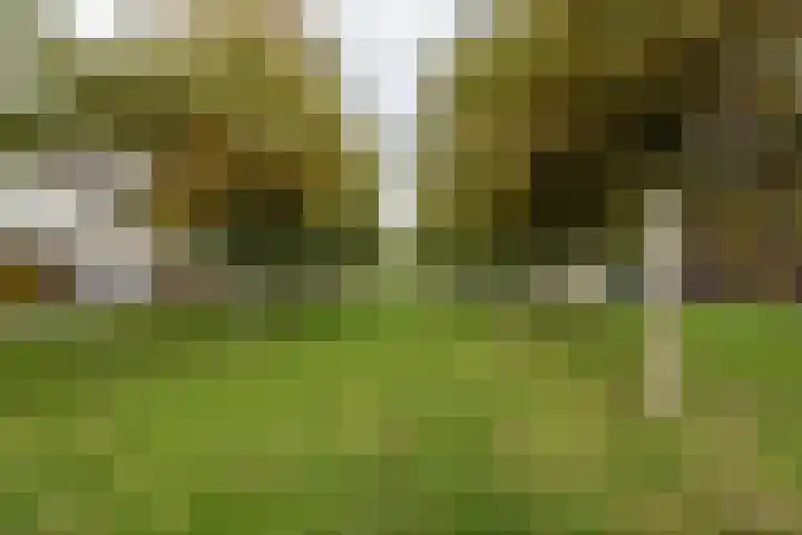 Noorddijk 35 Hoofddorp thumbnail 42