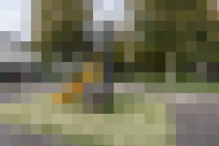 Noorddijk 35 Hoofddorp thumbnail 43