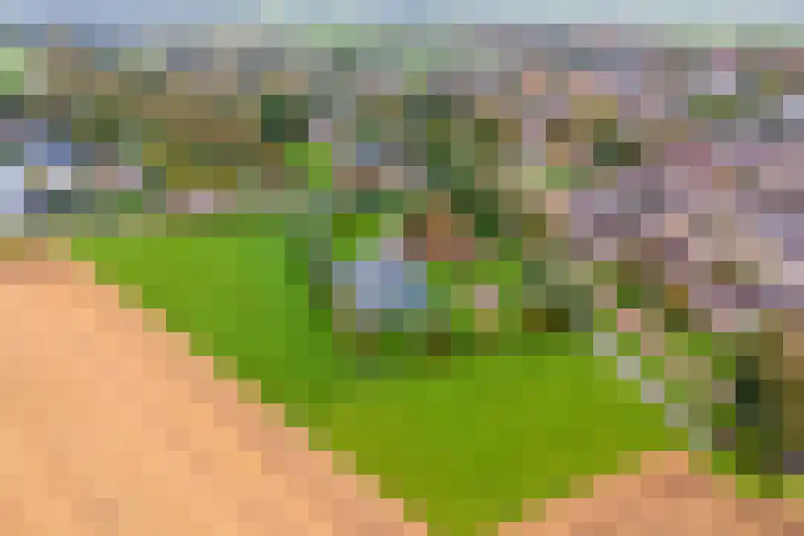 Noorddijkerweg 11 Ursem thumbnail 36