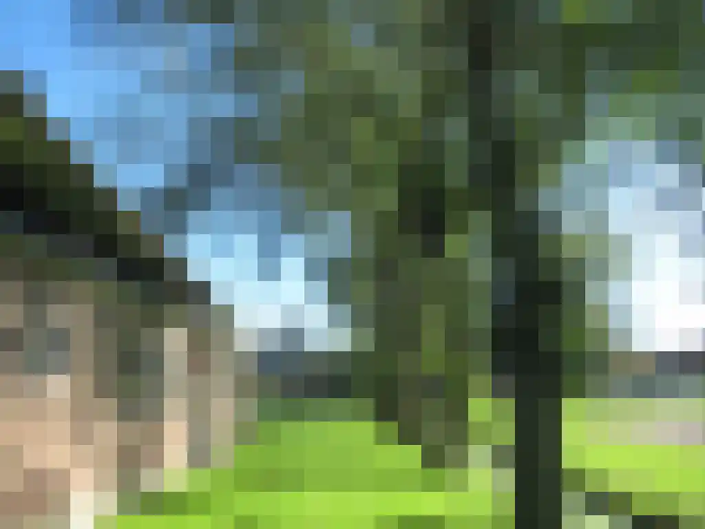 Noorddijkerweg 11 Ursem thumbnail 5