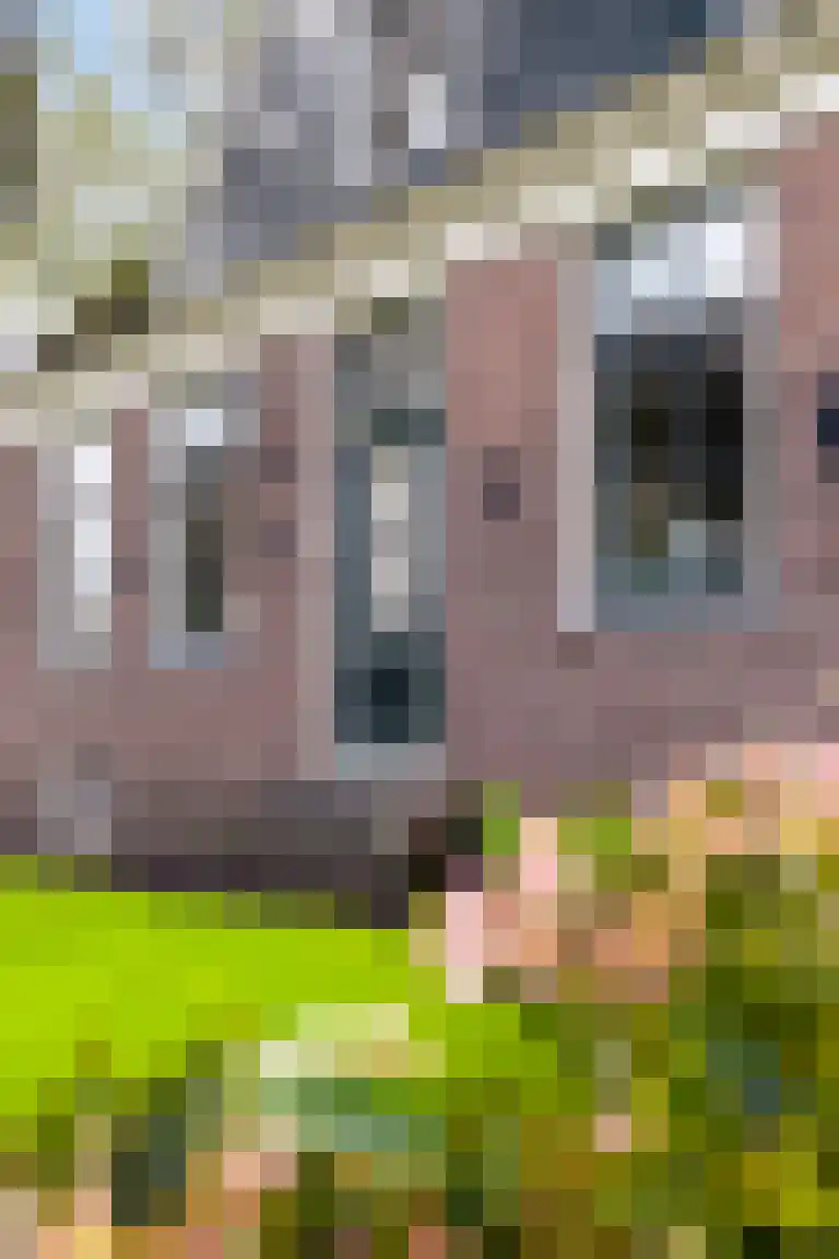 Noorddijkerweg 11 Ursem thumbnail 6