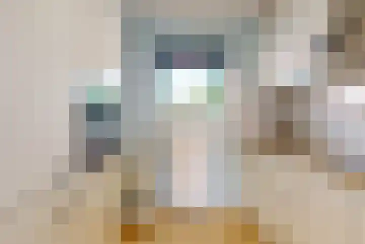 Noorddijkerweg 14 D Ursem thumbnail 15
