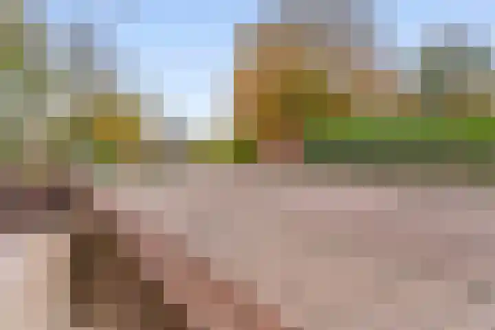Noorddijkerweg 14 D Ursem thumbnail 24