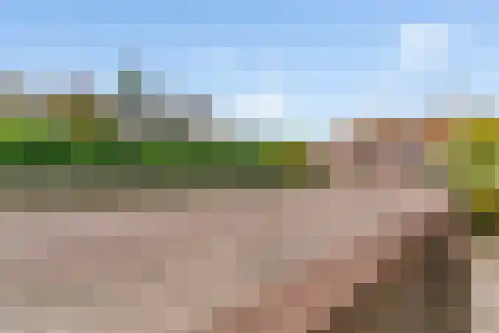 Noorddijkerweg 14 D Ursem thumbnail 25
