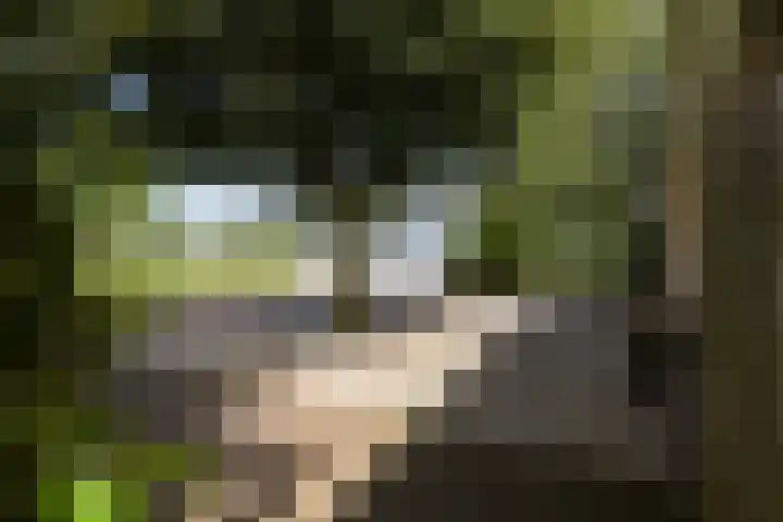 Noorddijkerweg 23 Ursem thumbnail 100