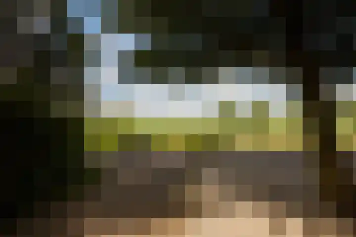 Noorddijkerweg 23 Ursem thumbnail 101