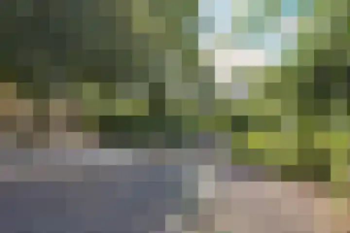 Noorddijkerweg 23 Ursem thumbnail 103