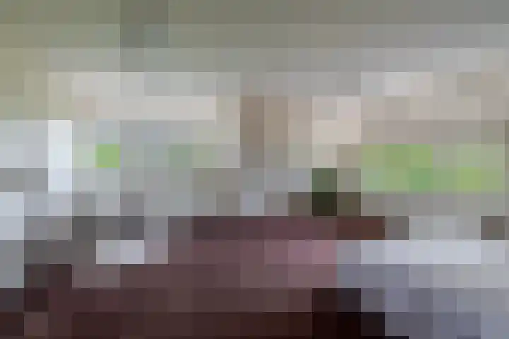 Noorddijkerweg 23 Ursem thumbnail 36