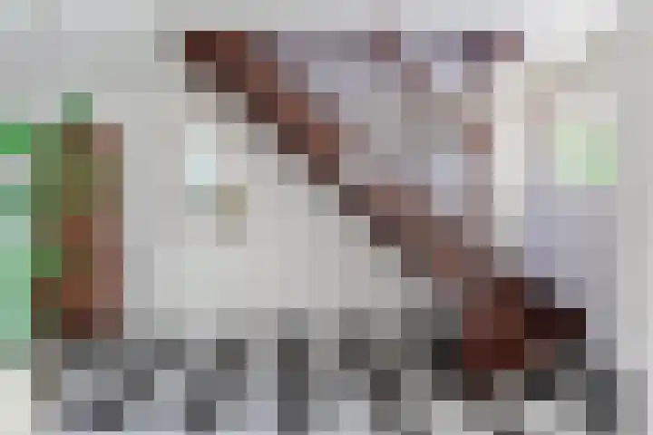 Noorddijkerweg 23 Ursem thumbnail 7