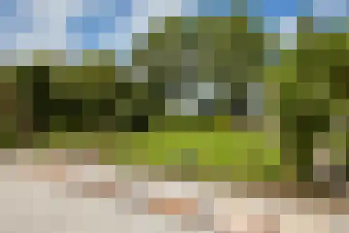 Noorddijkerweg 23 Ursem thumbnail 96