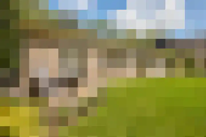 Noorddijkerweg 23 Ursem thumbnail 99