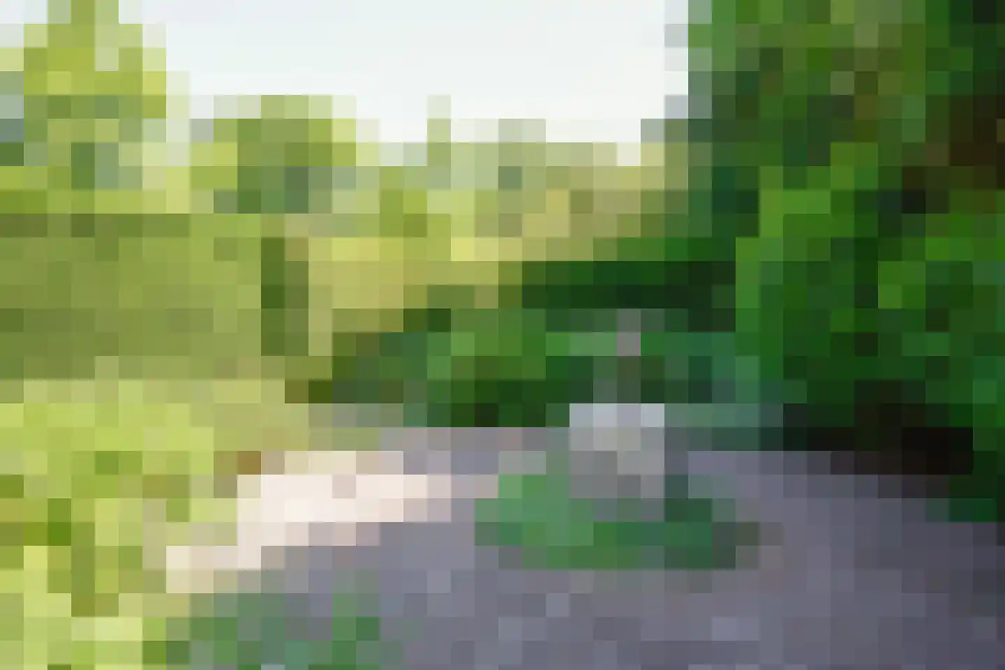 Noorddijkerweg 45 Ursem thumbnail 100