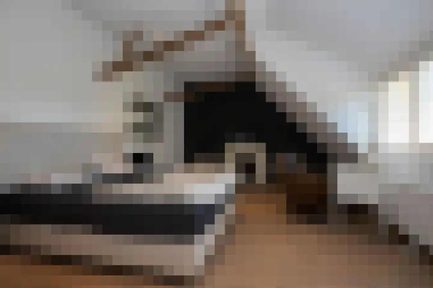 Noorddijkerweg 45 Ursem thumbnail 4