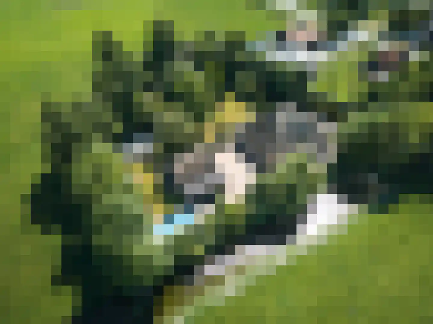 Noorddijkerweg 45 Ursem thumbnail 6