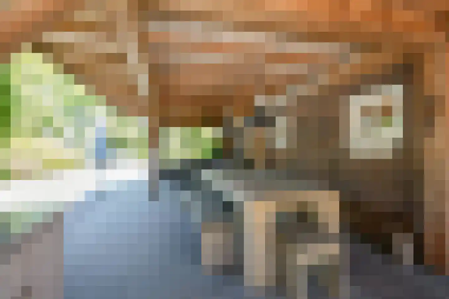 Noorddijkerweg 45 Ursem thumbnail 78